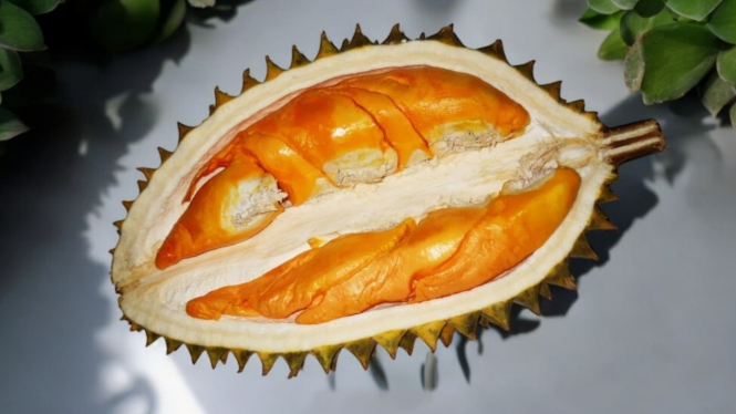 Durian Oranye