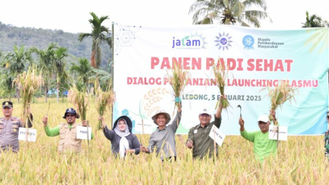 MPM PP Muhammadiyah Panen Padi Sehat di Bengkulu
