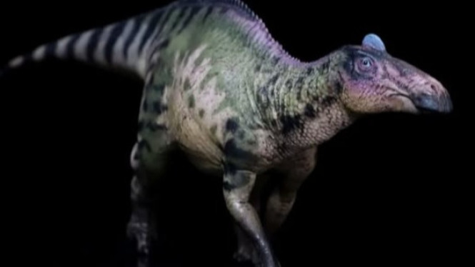 Edmontosaurus
