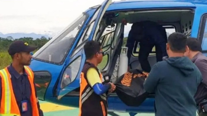 Musisi Fiersa Besari Sudah Dievakuasi ke Timika