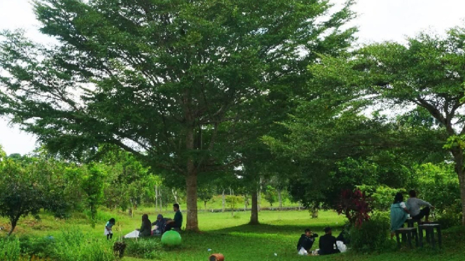 Kebun Raya Banua