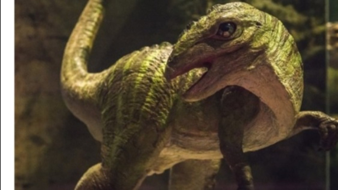 Salah Satu Jenis Ornithischia yang Jejaknya Dipajang di Sekolah