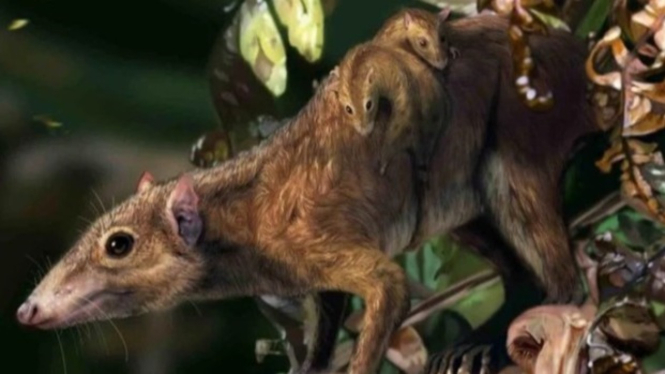Dryolestes, Kerabat Therian dari Zaman Kapur pada Akhir Jura.