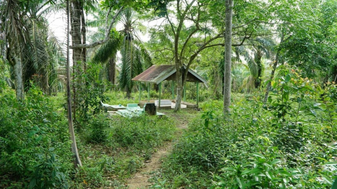 Lokasi Prasasti Talang Tuwo