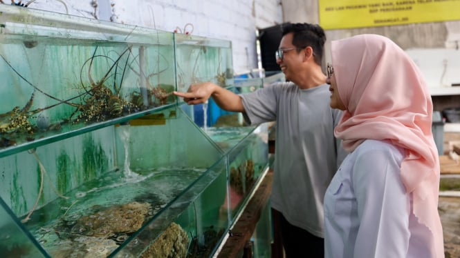 Kampung Lobster di Banyuwangi, Jawa Timur