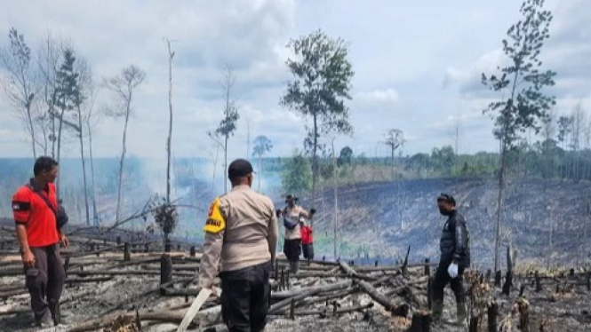 Kebakaran Hutan
