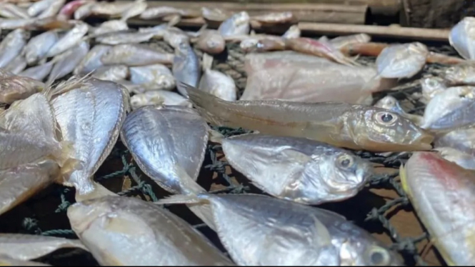 Ikan Kering
