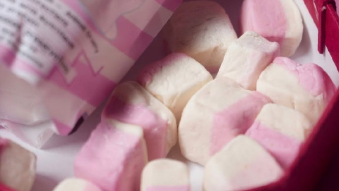 Ilustrasi marshmallow