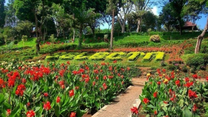 Taman Bunga Selecta Batu