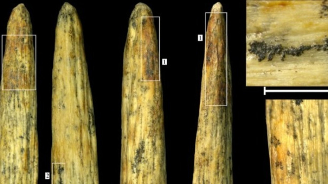 Senjata Tulang Manusia Neanderthal