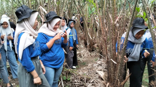 Wisata Petik Salak di Kabupaten Magelang, Jawa Tengah