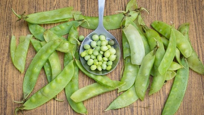 Kacang Polong