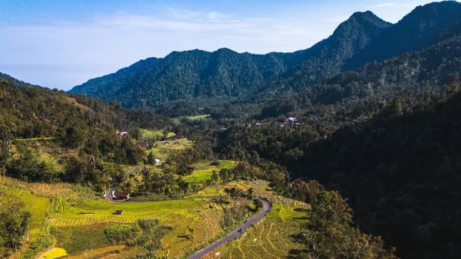 Wisata Petungkriyono