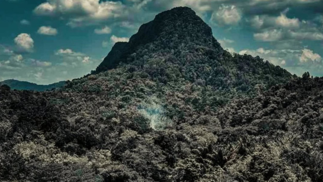 Wacana Hutan Meratus Menjadi Taman Nasional: Alasan dan Penolakan ...