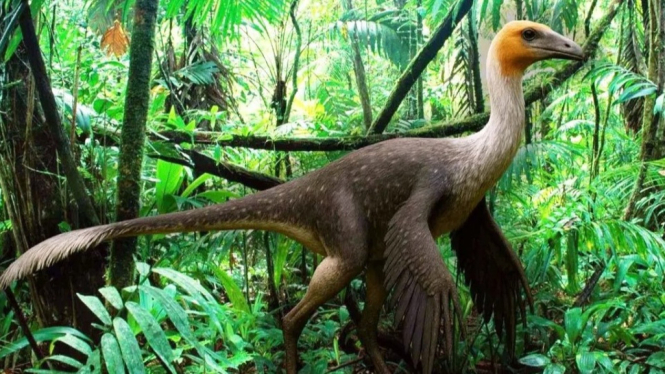 Mexidracon longimanus, Burung Unta Zaman Cretaceous