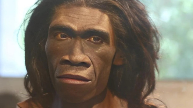 Rekonstruksi Wajah Homo erectus