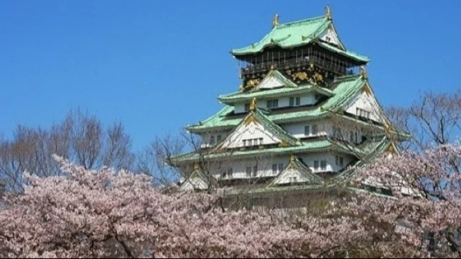 Jepang terkenal dengan bunga Sakura yang indah