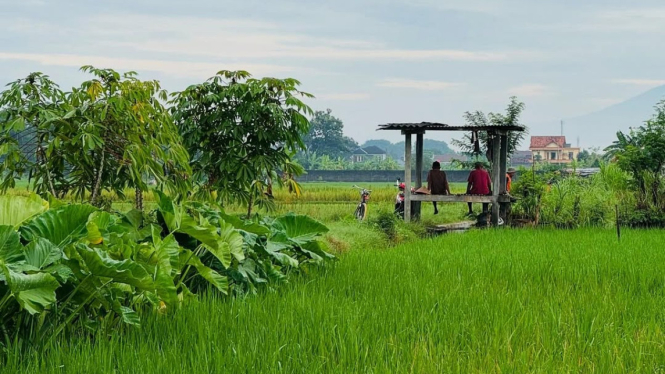 Desa Wisata Tembi