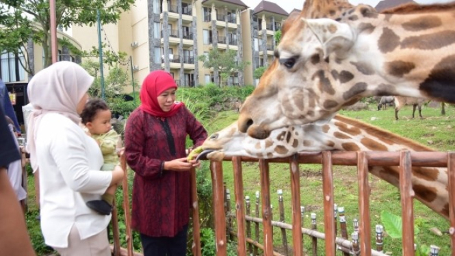 Jawa Timur Jadi Destinasi Terfavorit