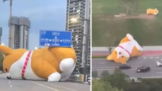 Boneka Anjing Tiup Raksasa