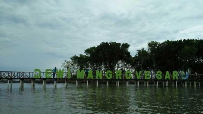 Wisata Mangrove Pandansari Kaliwingi Brebes