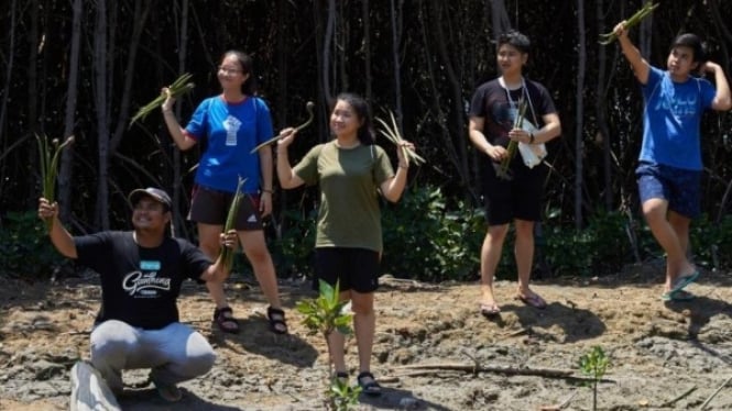 Wisata Mangrove Pandansari Kaliwingi Brebes