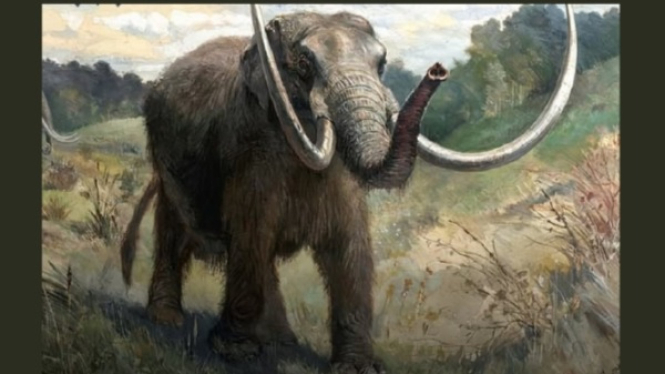 Gajah Purba Mastodon
