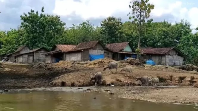 Dusun Bulak Pepe