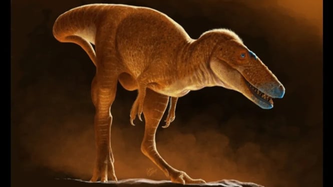Khankhuuluu mongoliensis, Spesies Dinosaurus Baru