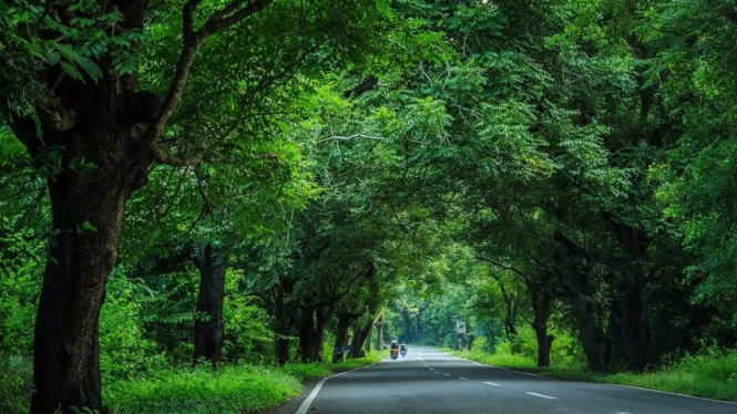 Hutan Lindung Cekik