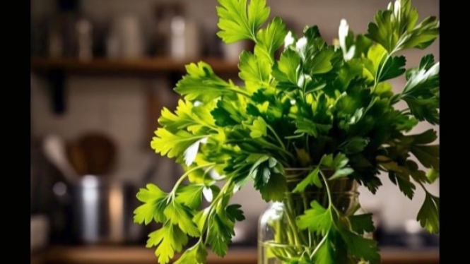 Parsley