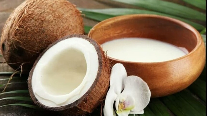 Kelapa tua
