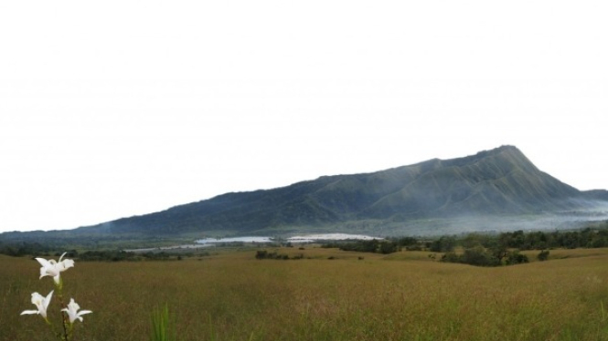 Keindahan Gunung Rinjani, Savana Propok Sembalun