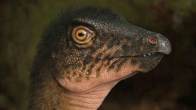 Thescelosaurus
