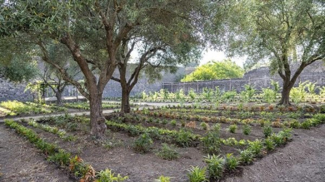 Taman yang Direkonstruksi di Pompeii