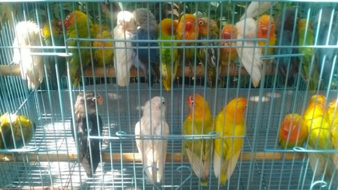 Wisata Edukasi Satwa