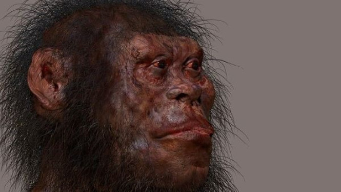 Homo naledi telah Melakukan Penguburan Jenazah