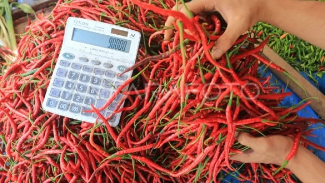 Cabai merah kriting