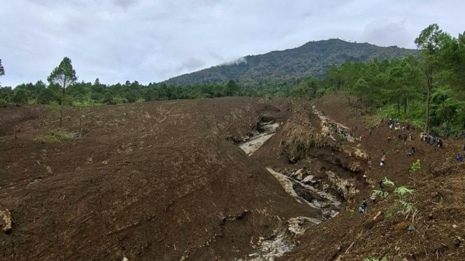 Hutan Gundul di Lereng Gunung Slamet