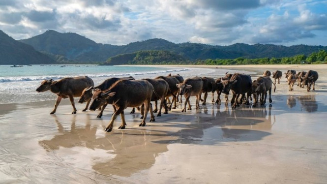 Pantai Selong Belanak Lombok