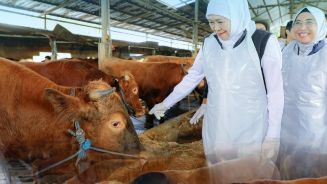 Gubernur Jatim Khofifah