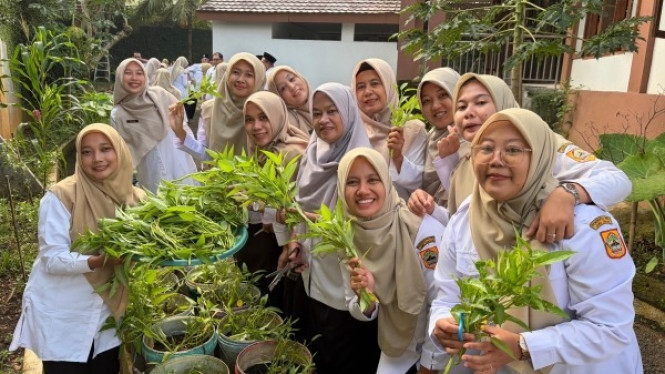 Panen Kangkung di SMAN 1 Ajibarang