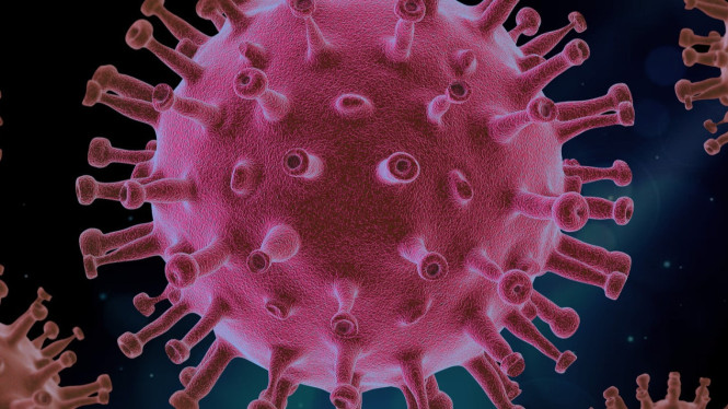 Ilustrasi Virus