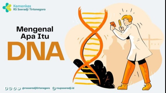 Mengenal DNA