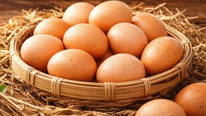 Produksi Telur