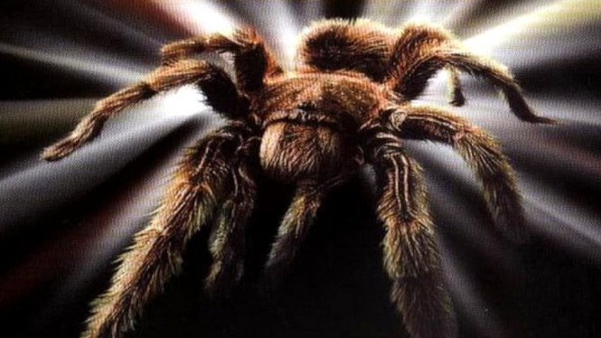 Spiders 2: Breeding Ground (2001)