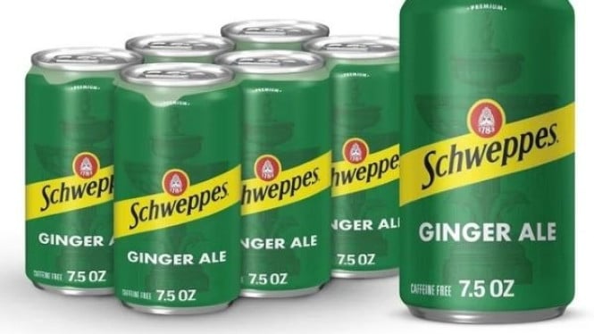 Ginger Ale, Minuman Soda Jahe