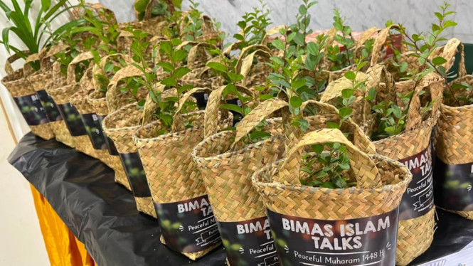 Bibit Tanaman