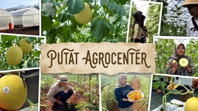 Putat Agrocenter, Gunungkidul, Yogyakarta, Optimalkan Tanah Kelurahan, Jadi Role Model Agrowisata Baru