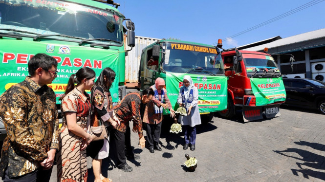 Ekspor 270 Ton Ikan Sarden Olahan Senilai Rp10 miliar dari Banyuwangi, Jawa Timur